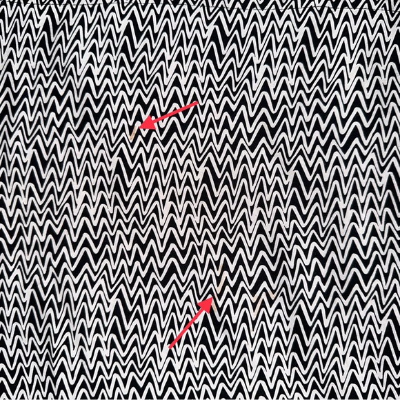 Kate Spade Saturday Zig Zag Black And White Silk Blend Blouse MEDIUM - Picture 7 of 7